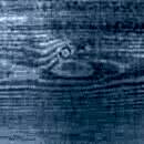 Rubio Monocoat Wood Cream 1lt (Krem Formunda Su Bazlı Su Geçirmez Doğal Ahşap Koruyucu) - Navy Blue