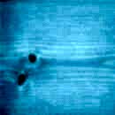 Rubio Monocoat Hybrid Wood Protector 1lt Pop Renkler - Lagoon - Pop Colour