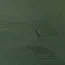 Rubio Monocoat Wood Cream 1lt (Krem Formunda Su Bazlı Su Geçirmez Doğal Ahşap Koruyucu) - Country Green